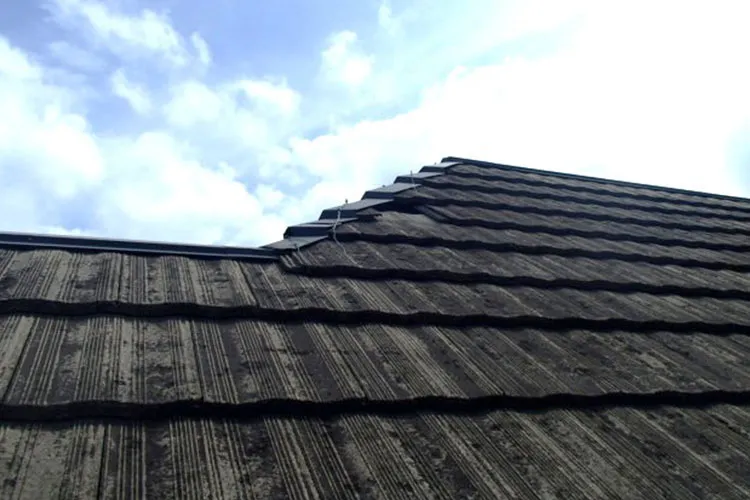 コケ・カビ・藻が目立つ