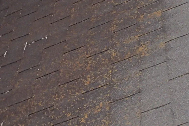 部分的にカビがある