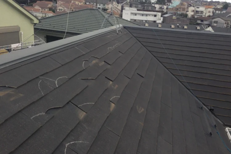 全体にカビが広がっている